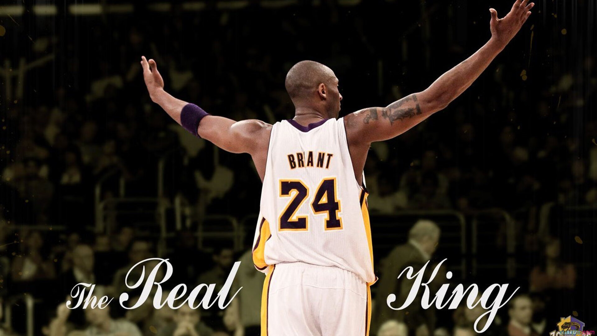 水球淘汰战希腊团结取胜