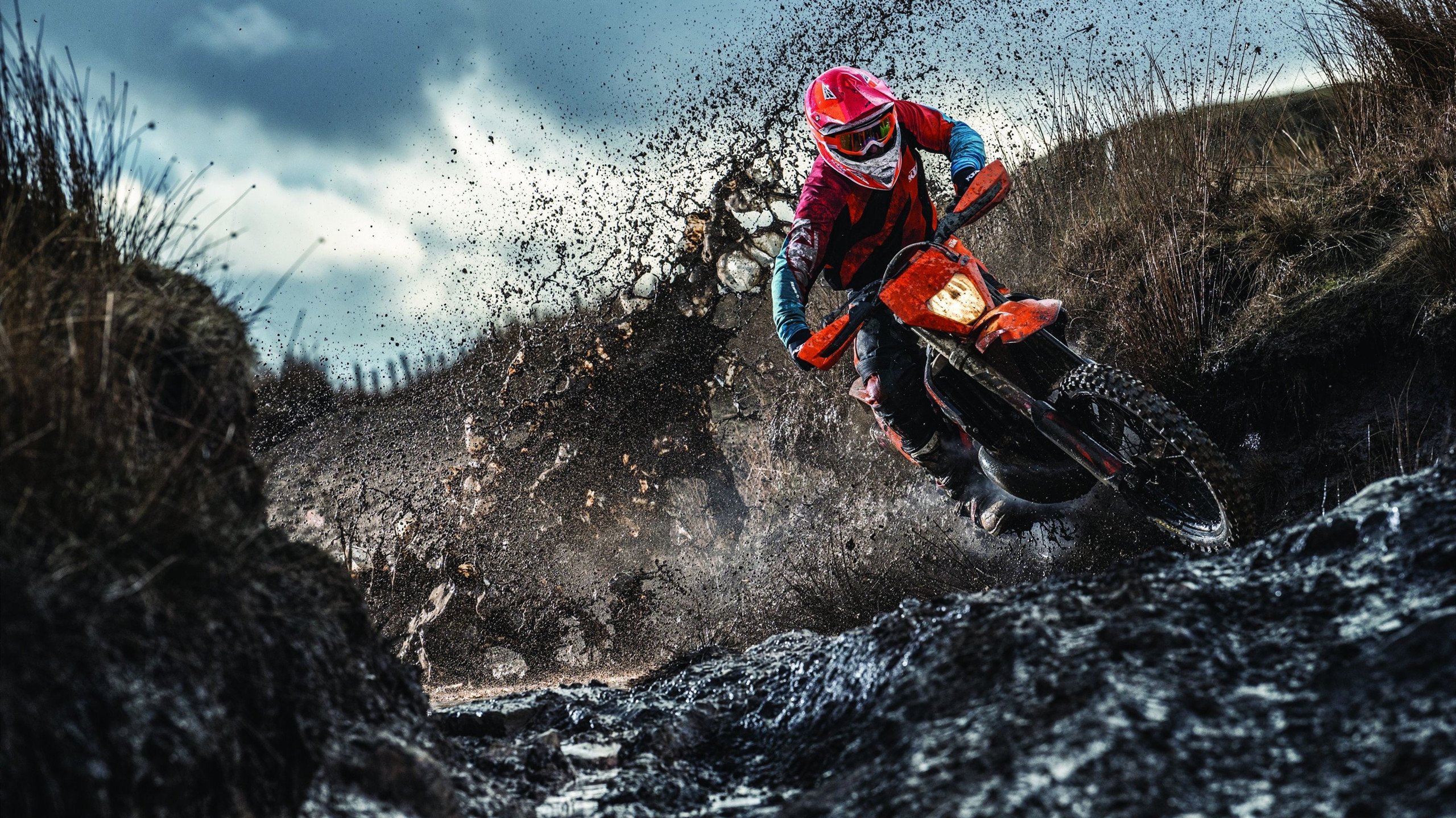 阿莱克西：我热爱这种极限挑战，阿莱克西·莱霍